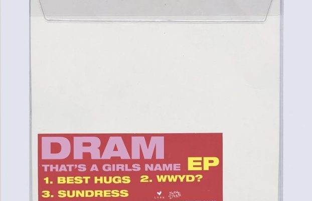【和訳・解説】 Best Hugs – DRAM